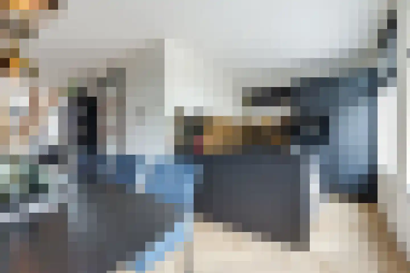 Oregano 2 Heerhugowaard thumbnail 17