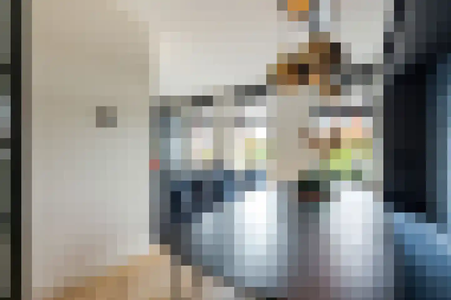Oregano 2 Heerhugowaard thumbnail 19