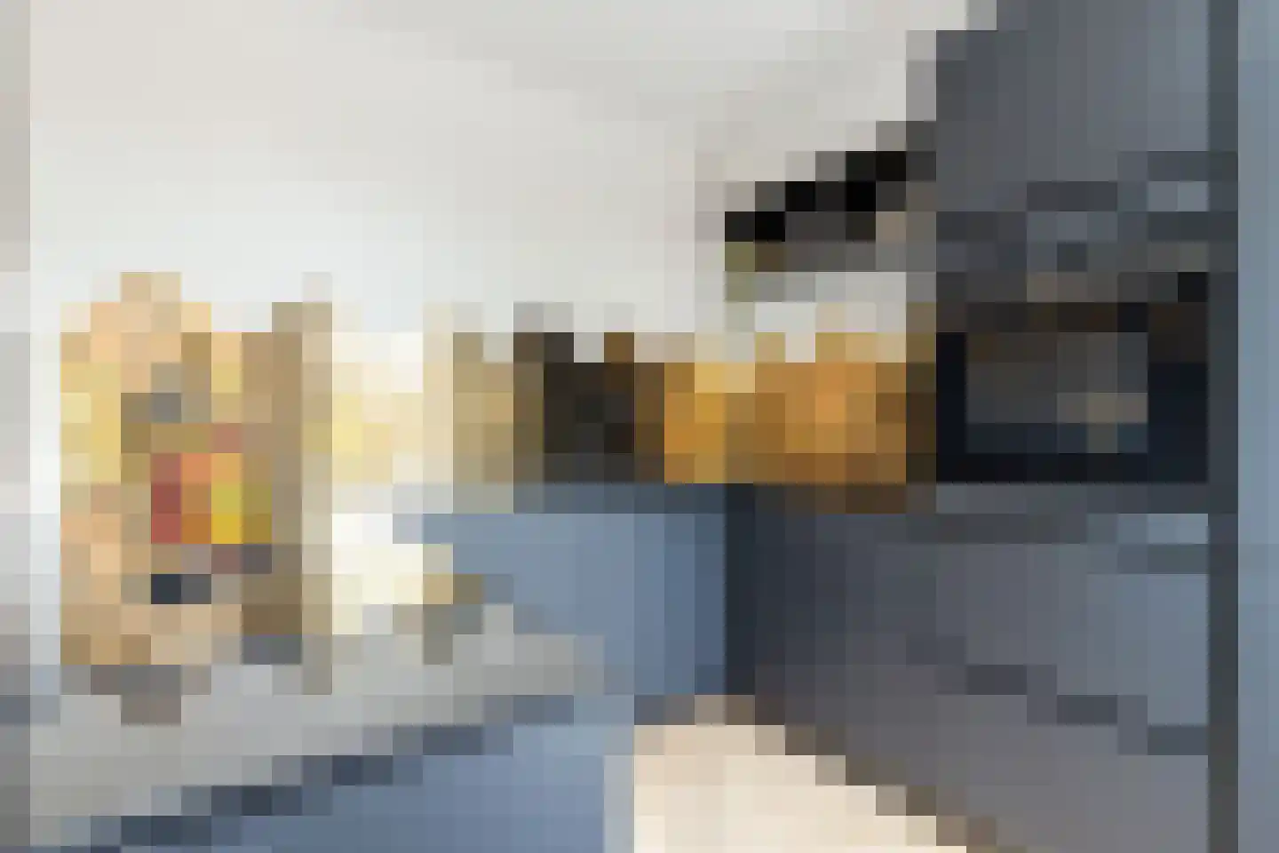 Oregano 2 Heerhugowaard thumbnail 21