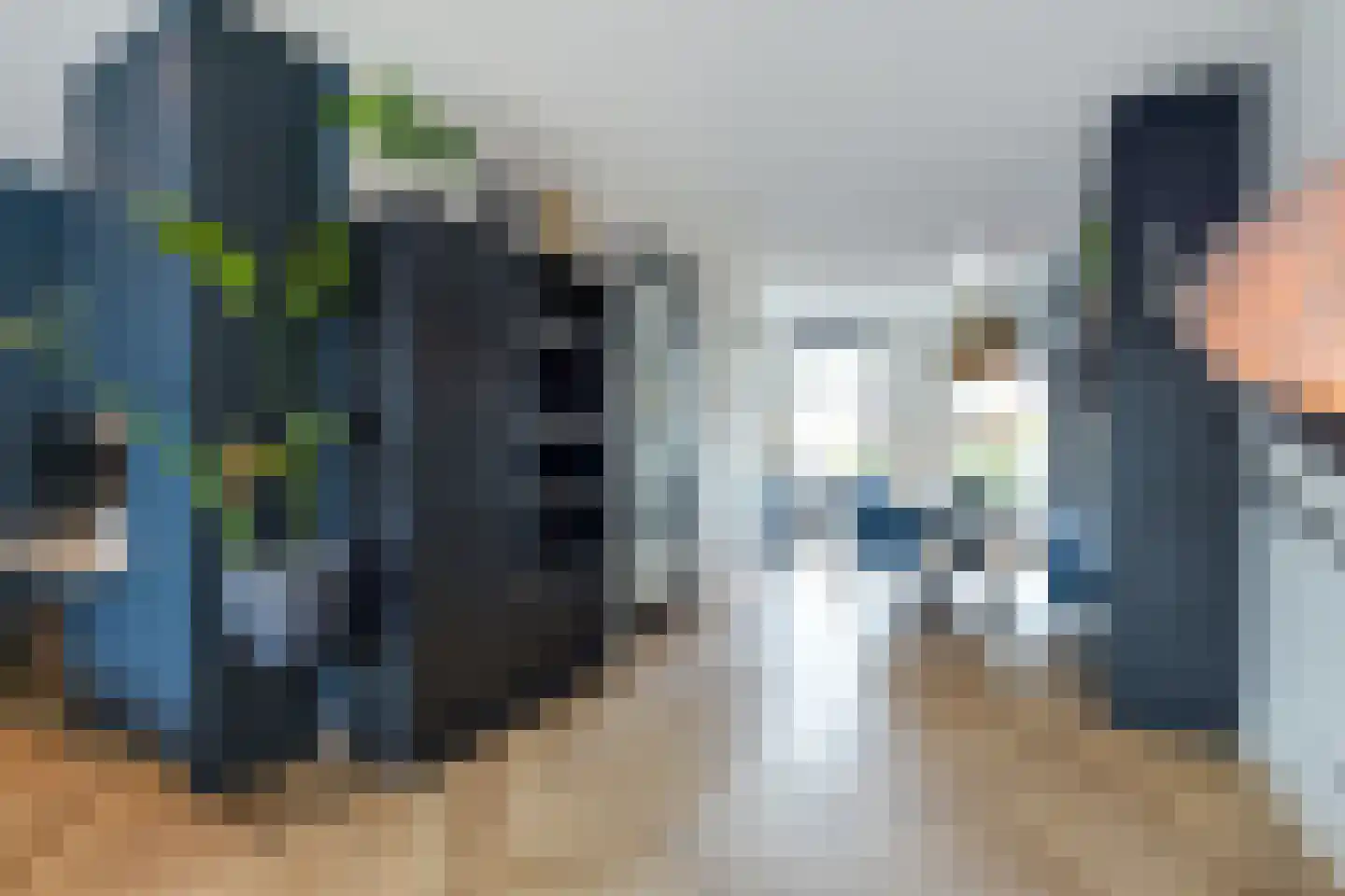 Oregano 2 Heerhugowaard thumbnail 25