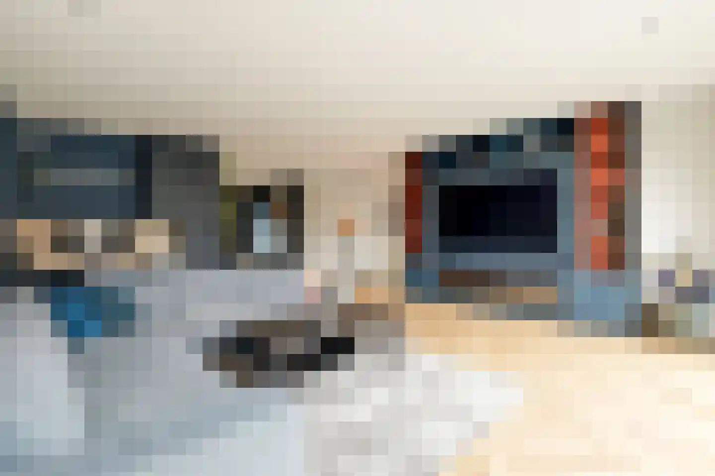 Oregano 2 Heerhugowaard thumbnail 28