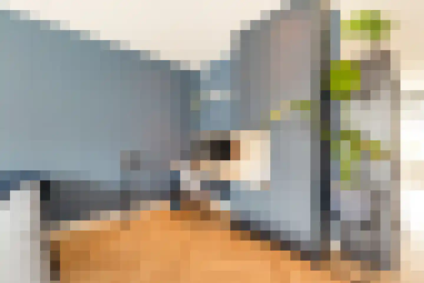 Oregano 2 Heerhugowaard thumbnail 29