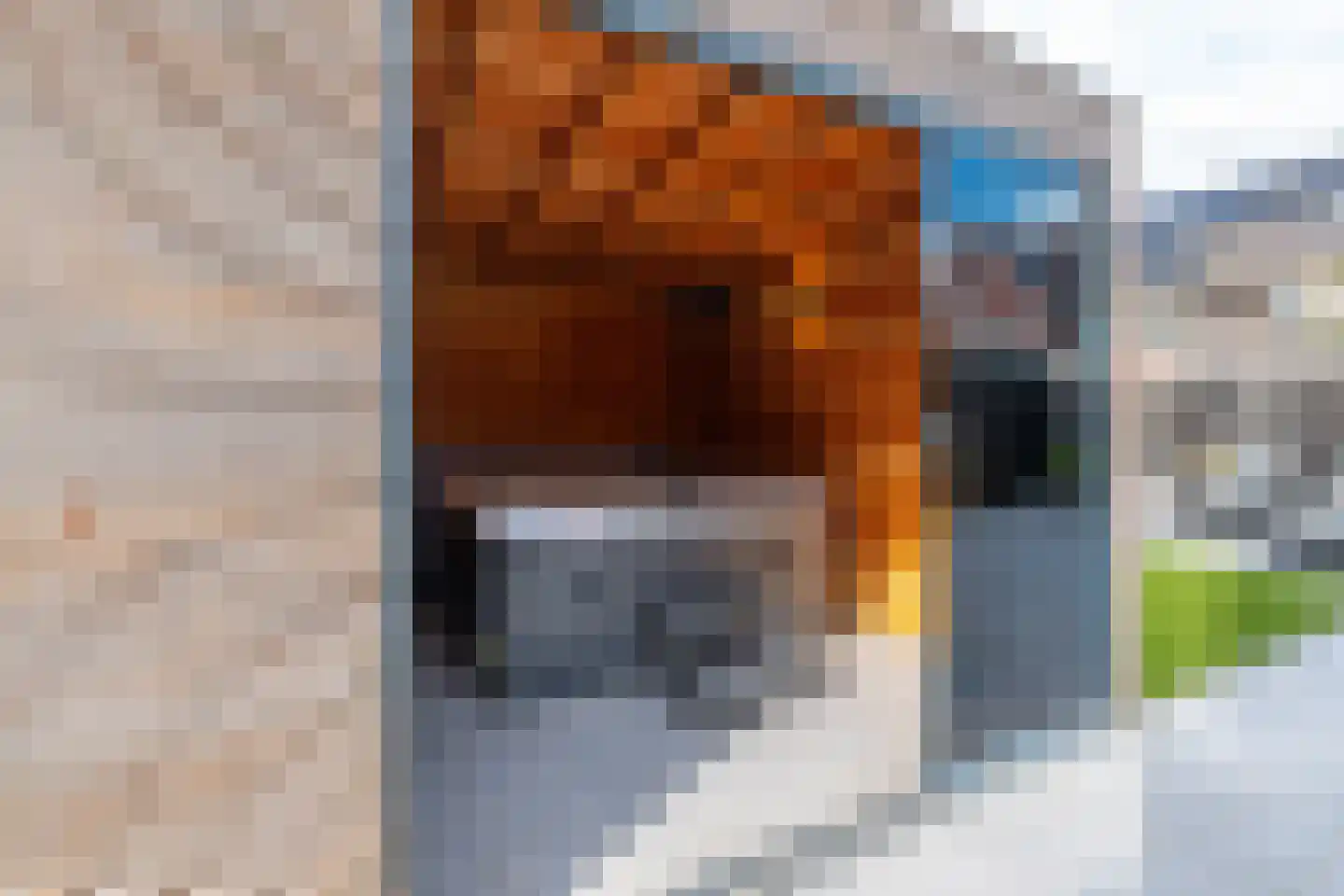 Oregano 2 Heerhugowaard thumbnail 37