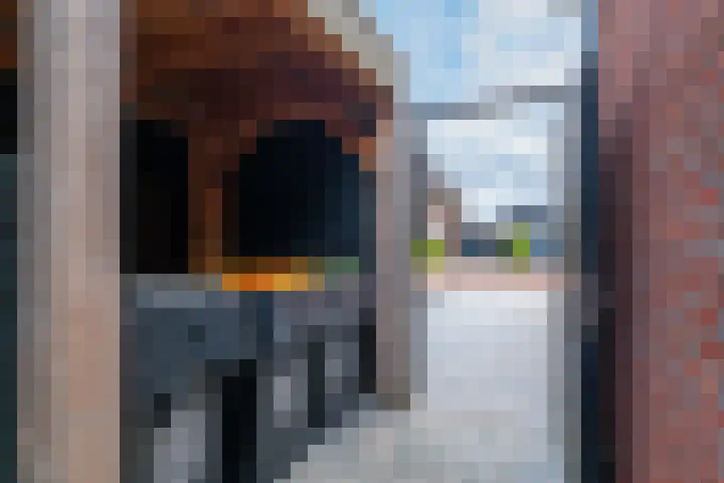 Oregano 2 Heerhugowaard thumbnail 48