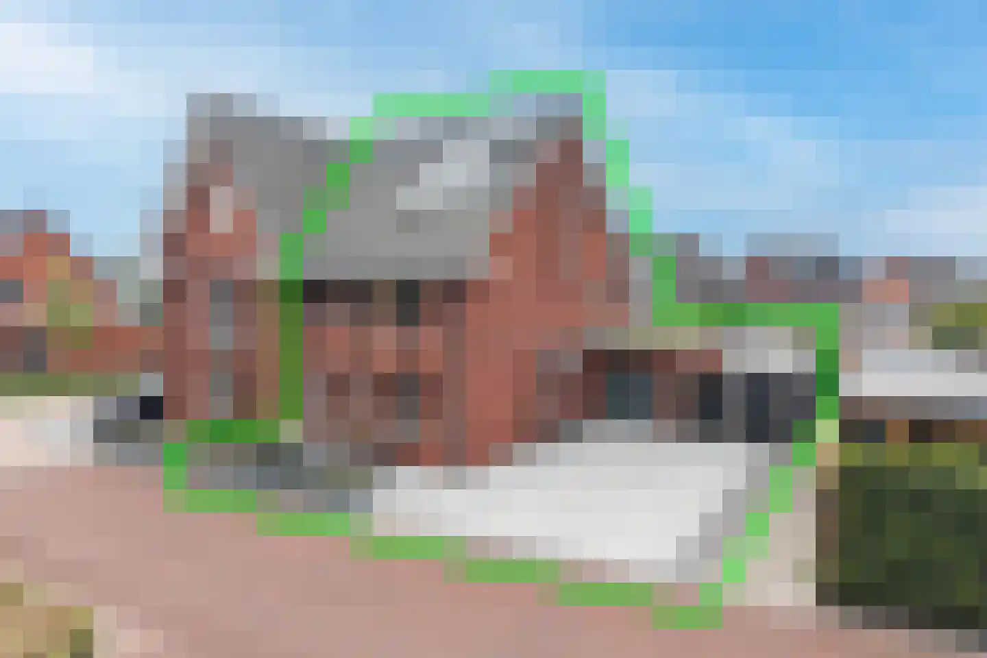 Oregano 2 Heerhugowaard thumbnail 5