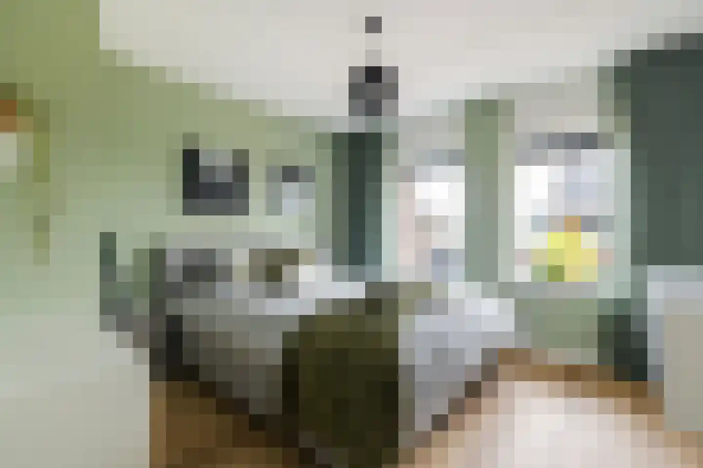 Oregano 2 Heerhugowaard thumbnail 57