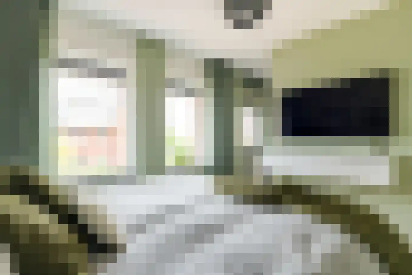 Oregano 2 Heerhugowaard thumbnail 60
