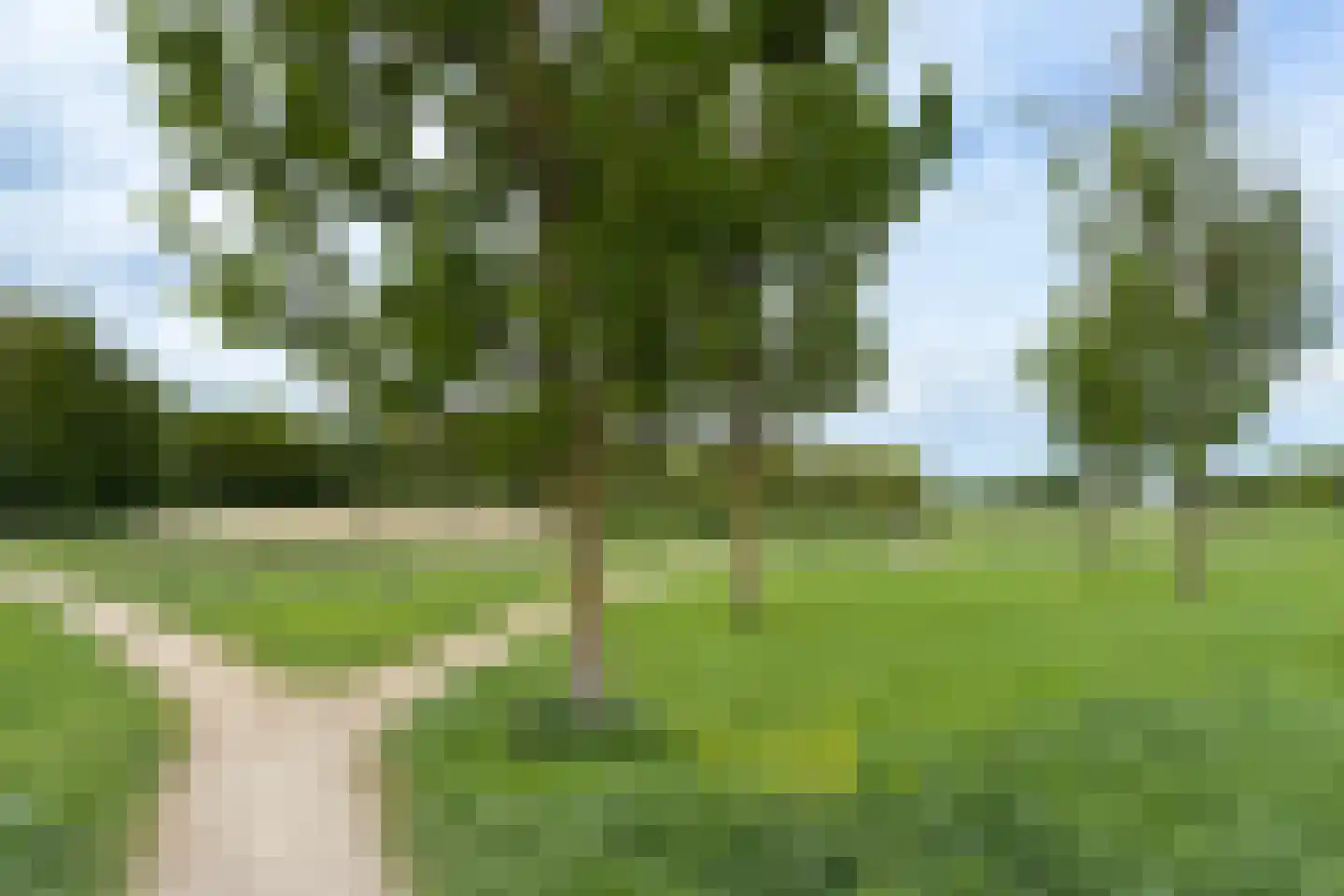 Oregano 2 Heerhugowaard thumbnail 94