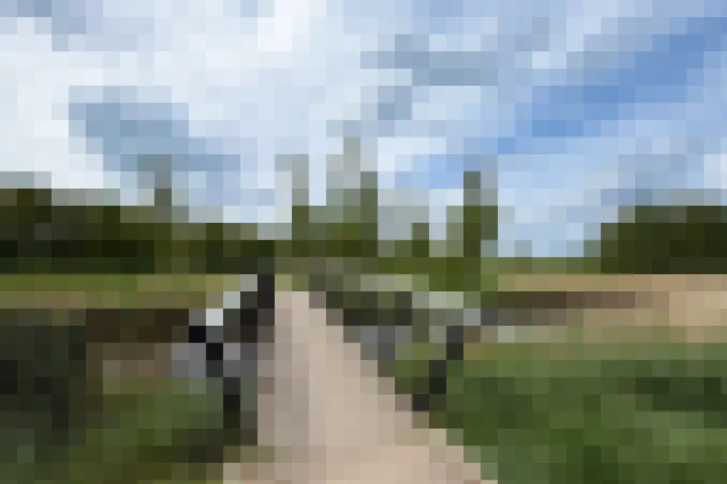 Oregano 2 Heerhugowaard thumbnail 95
