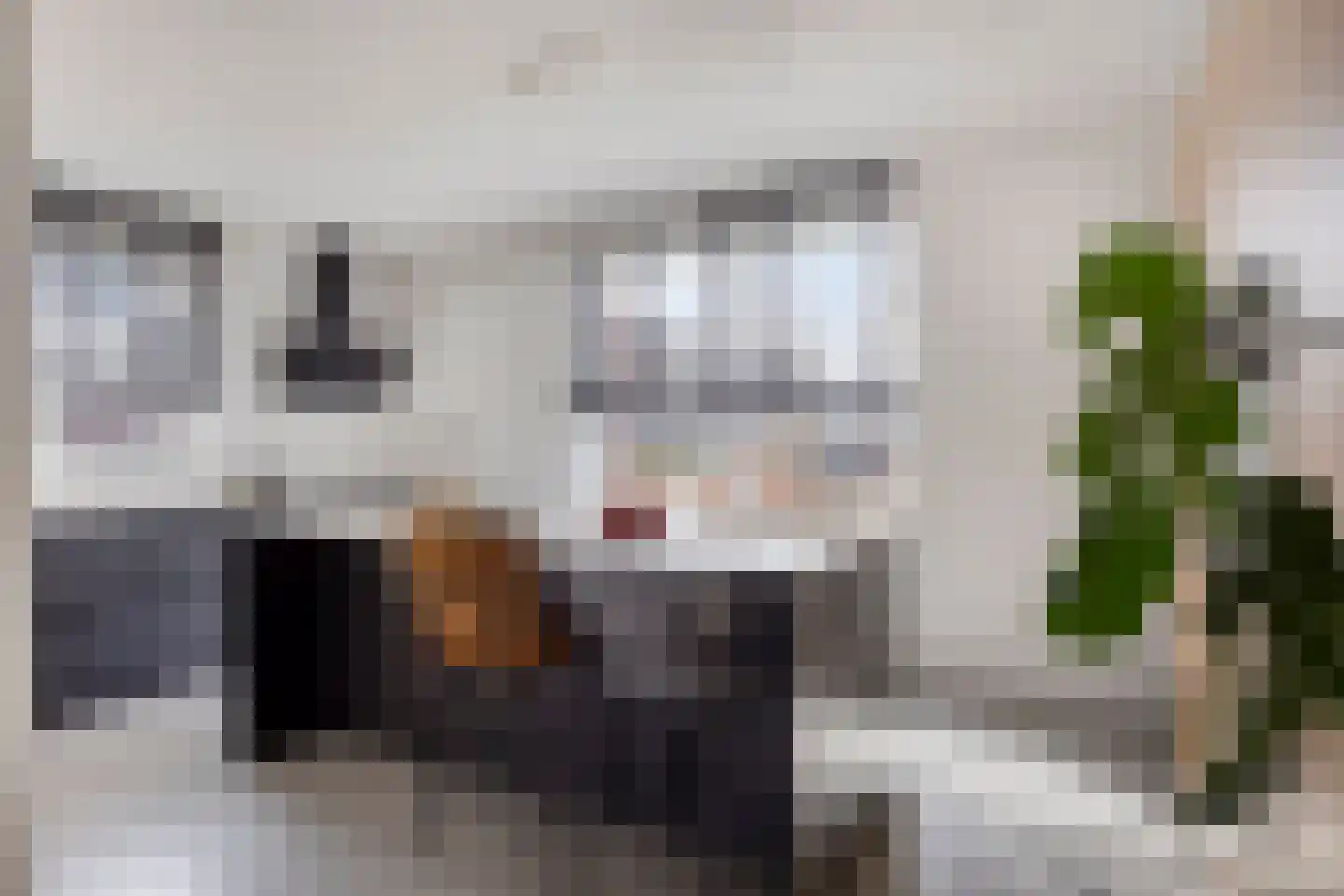 Oregano 9 Heerhugowaard thumbnail 13