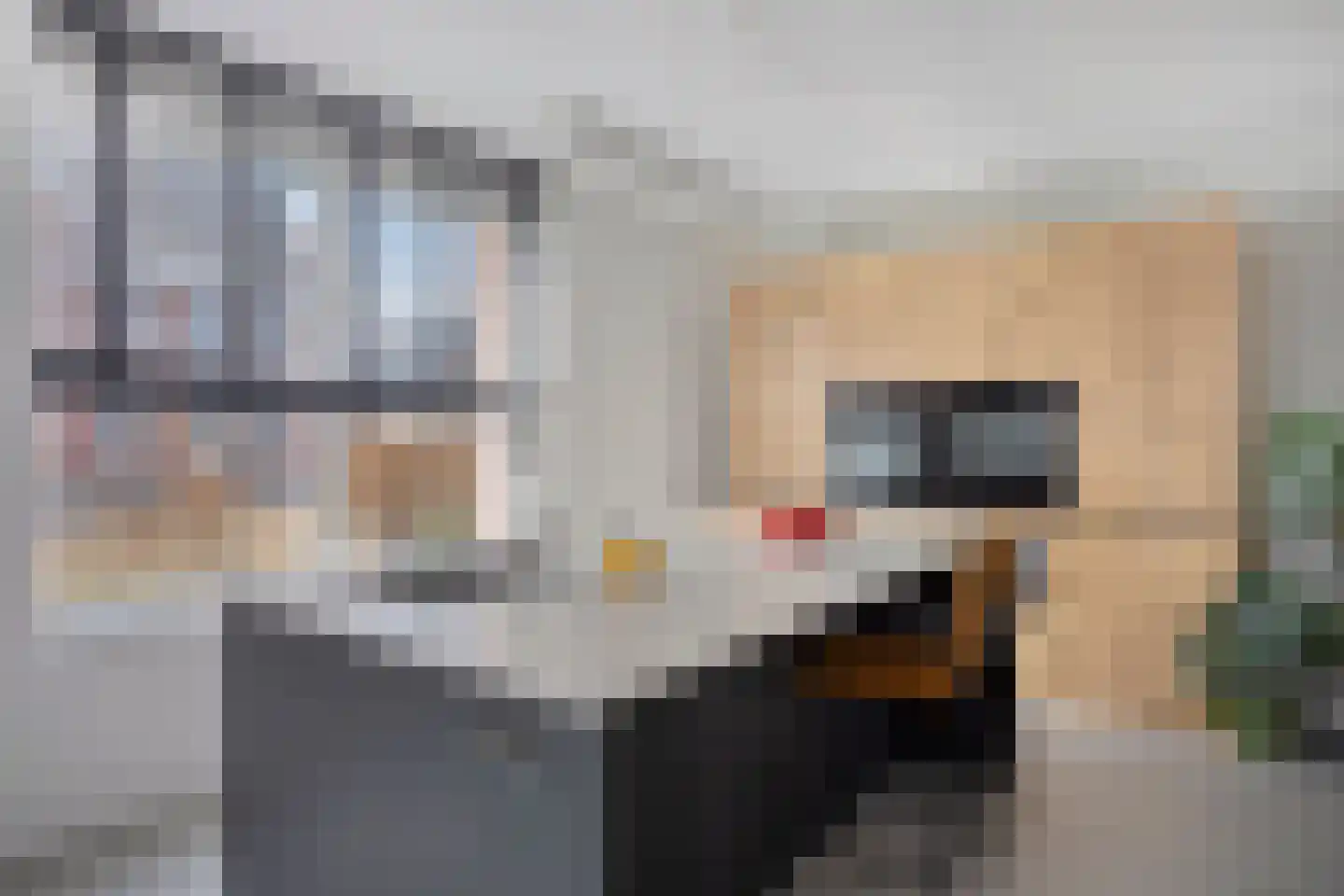 Oregano 9 Heerhugowaard thumbnail 14