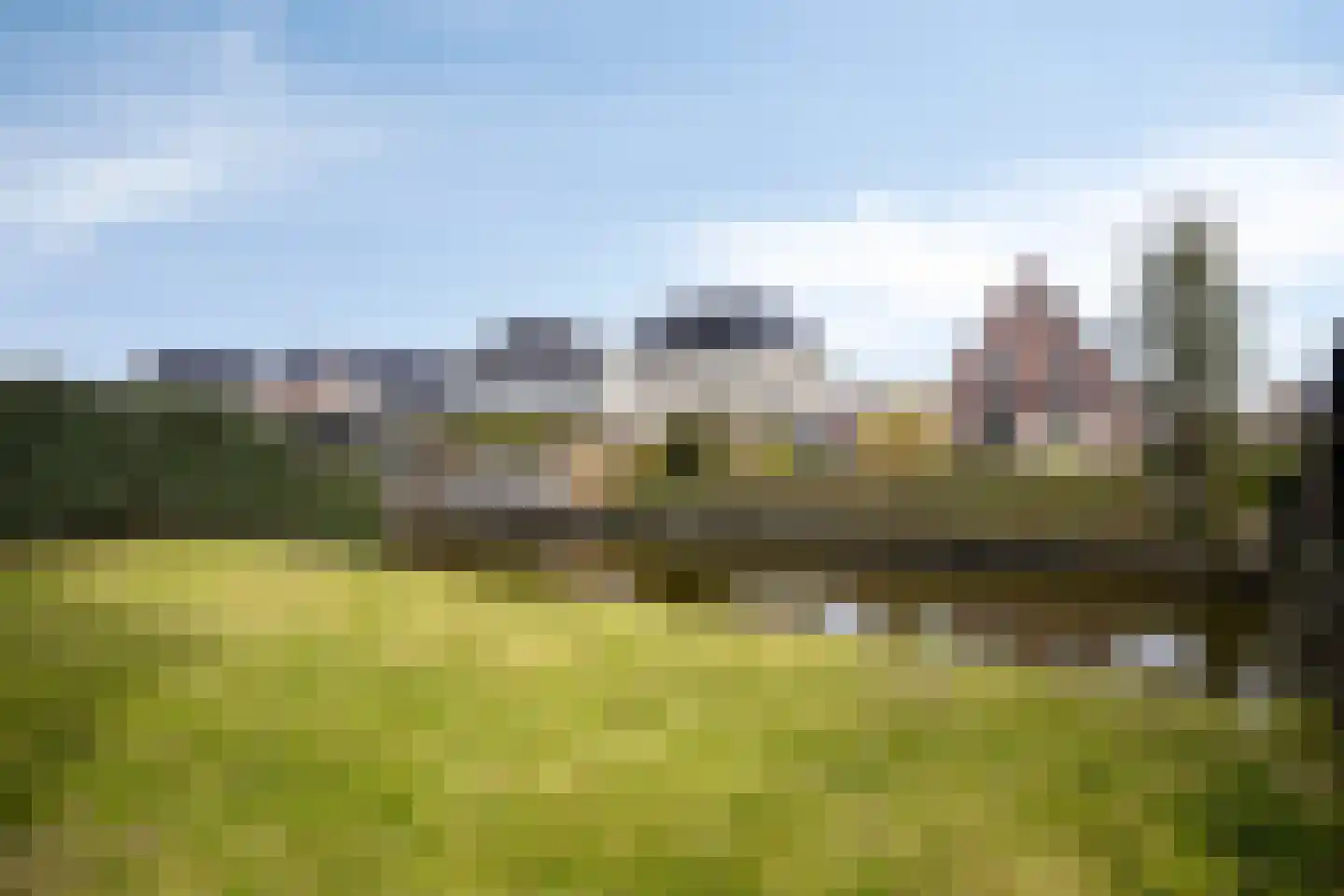 Oregano 9 Heerhugowaard thumbnail 25