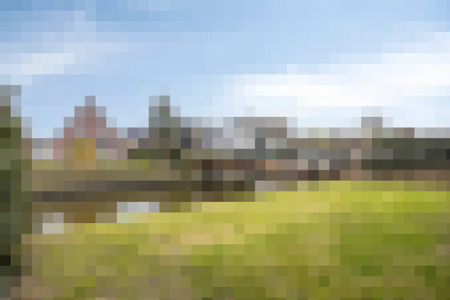 Oregano 9 Heerhugowaard thumbnail 26