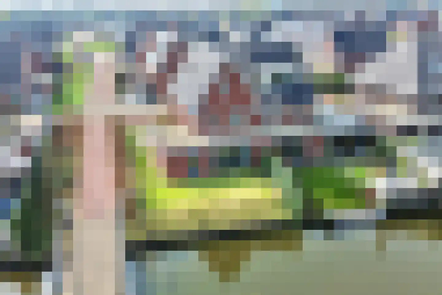 Oregano 9 Heerhugowaard thumbnail 5