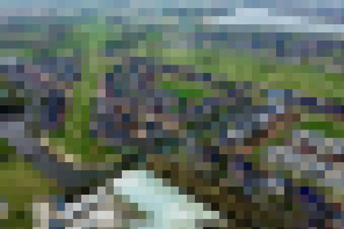 Oregano 9 Heerhugowaard thumbnail 52