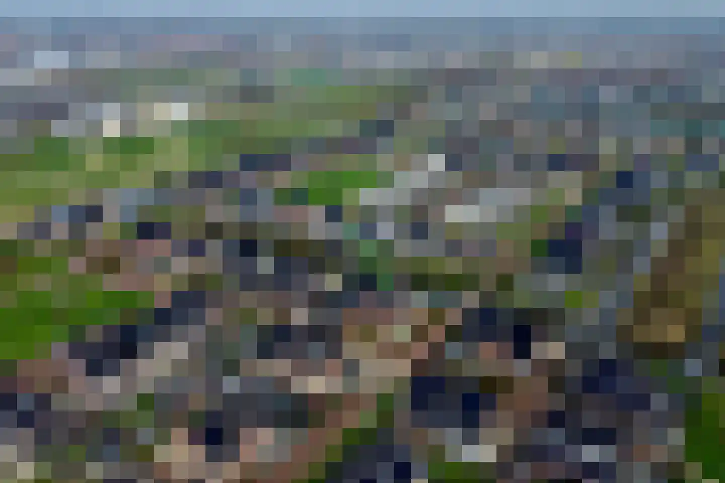 Oregano 9 Heerhugowaard thumbnail 54