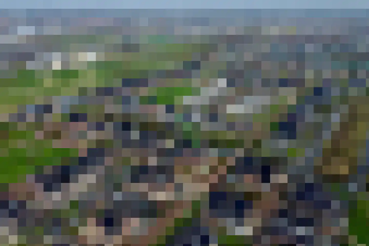 Oregano 9 Heerhugowaard thumbnail 7