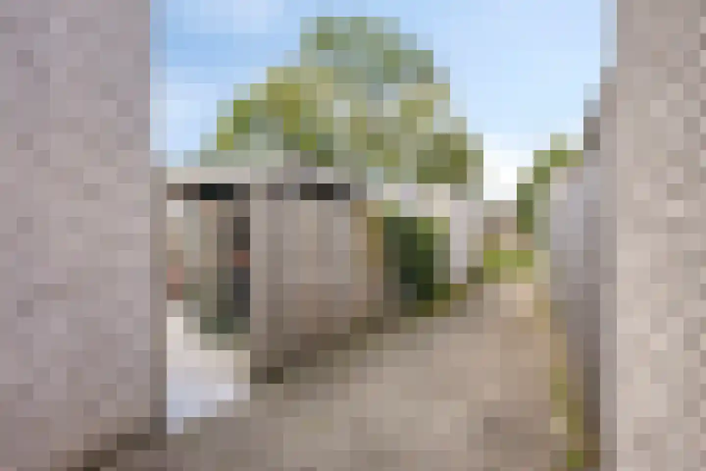 Oreganoweg 7 Zwolle thumbnail 34