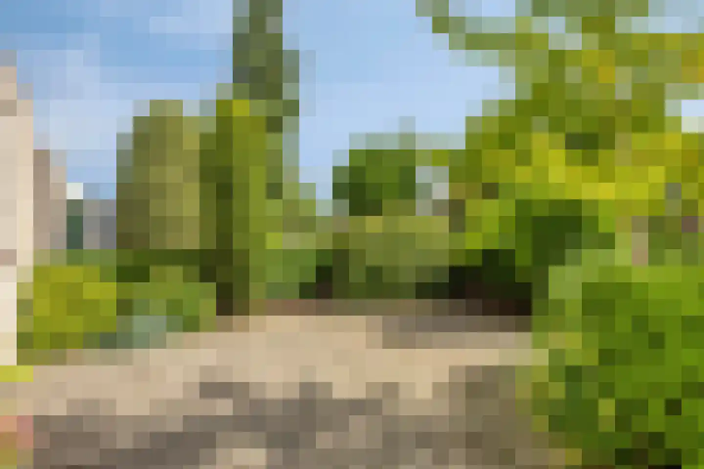 Oreganoweg 7 Zwolle thumbnail 6