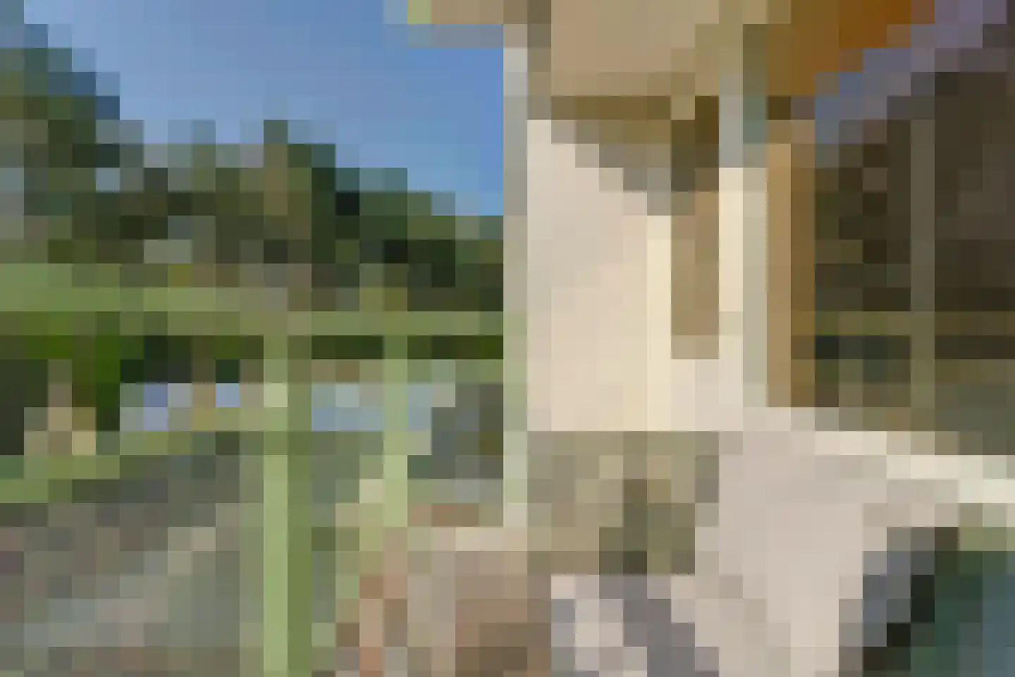 Oremusplein 13 Arnhem thumbnail 27