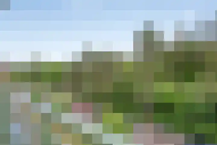 Oremusplein 19 Arnhem thumbnail 16