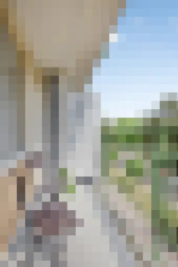 Oremusplein 19 Arnhem thumbnail 9