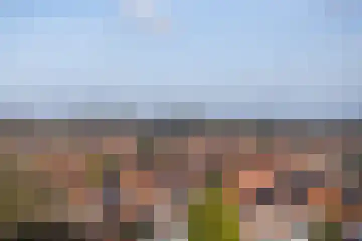 Oremusplein 47 Arnhem thumbnail 11