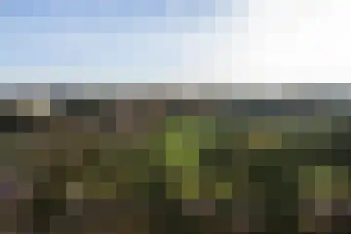 Oremusplein 47 Arnhem thumbnail 30