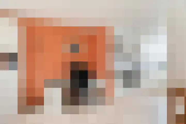Orfeo 2 Krimpen aan den IJssel thumbnail 12