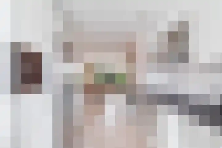 Orfeo 2 Krimpen aan den IJssel thumbnail 14