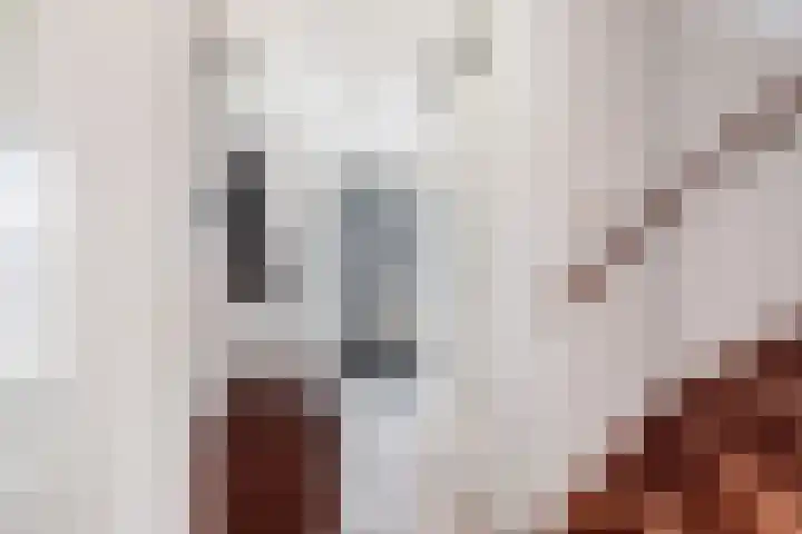 Orfeo 2 Krimpen aan den IJssel thumbnail 15