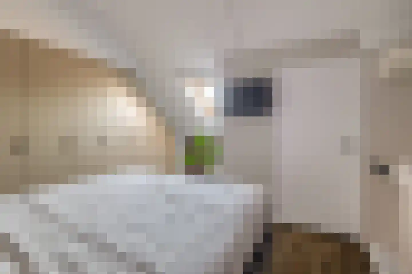 Orffstraat 36 Waalwijk thumbnail 31