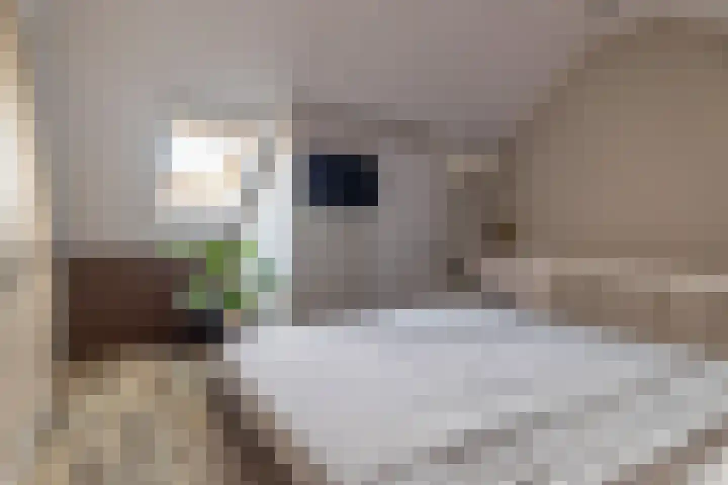 Orffstraat 36 Waalwijk thumbnail 4