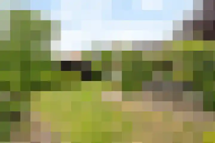 Orgellaan 10 Oldenzaal thumbnail 19