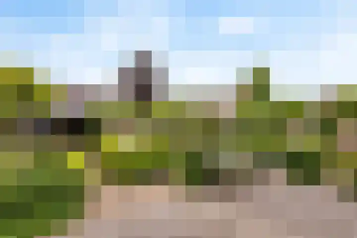 Orgellaan 10 Oldenzaal thumbnail 4