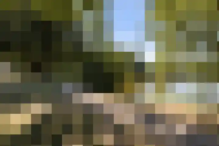 Orgellaan 22 Oldenzaal thumbnail 31