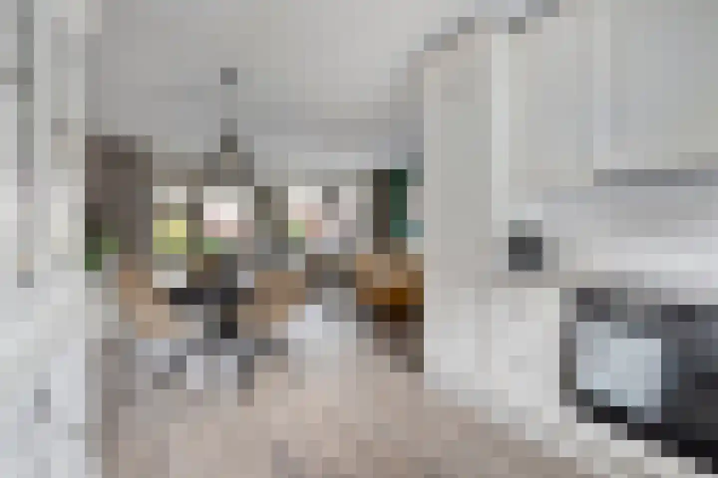 Orgelpad 11 Spijkenisse thumbnail 10