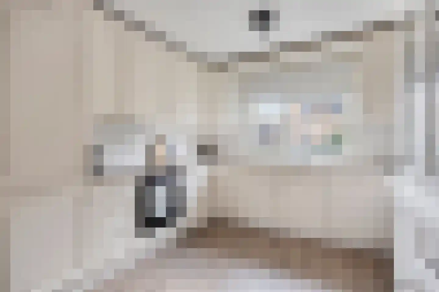 Orgelpad 11 Spijkenisse thumbnail 12