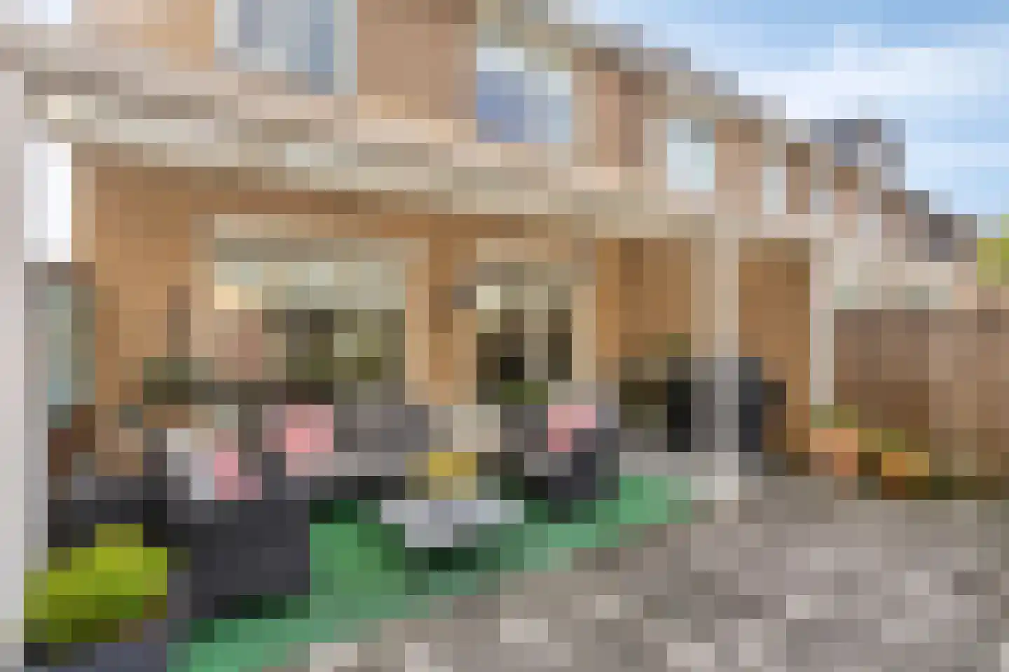 Orgelpad 11 Spijkenisse thumbnail 14