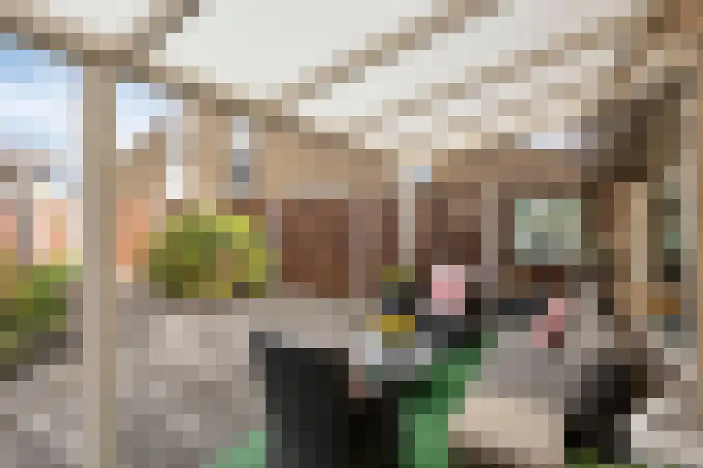 Orgelpad 11 Spijkenisse thumbnail 15