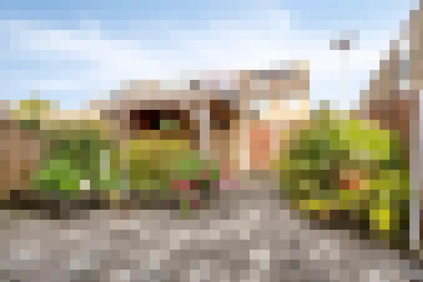 Orgelpad 11 Spijkenisse thumbnail 16