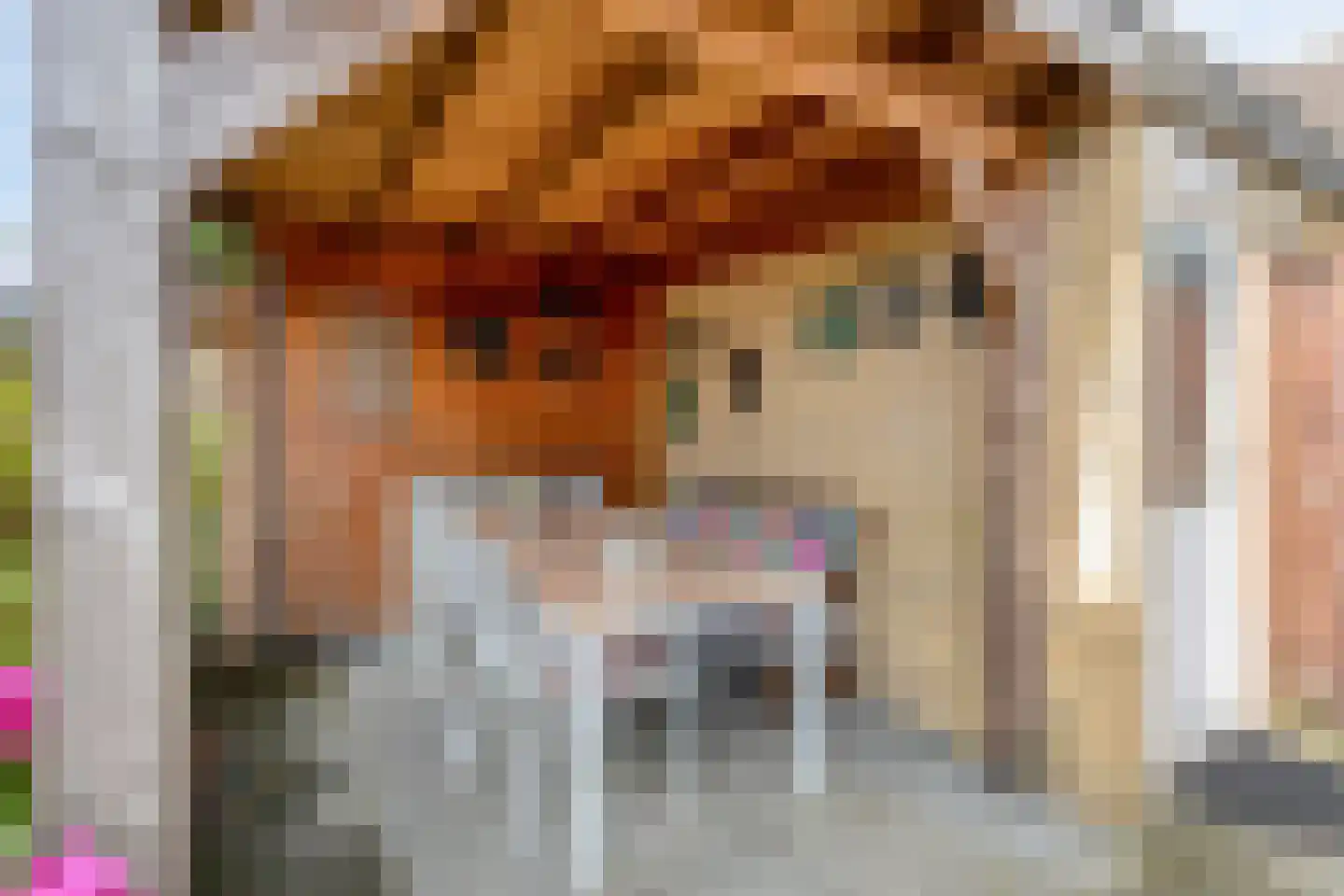 Orgelpad 11 Spijkenisse thumbnail 17