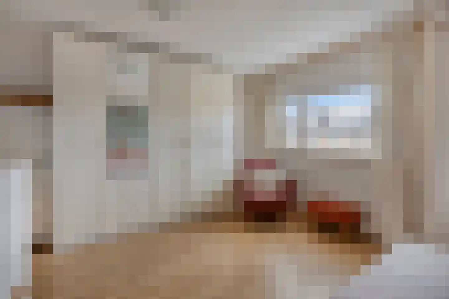 Orgelpad 11 Spijkenisse thumbnail 27