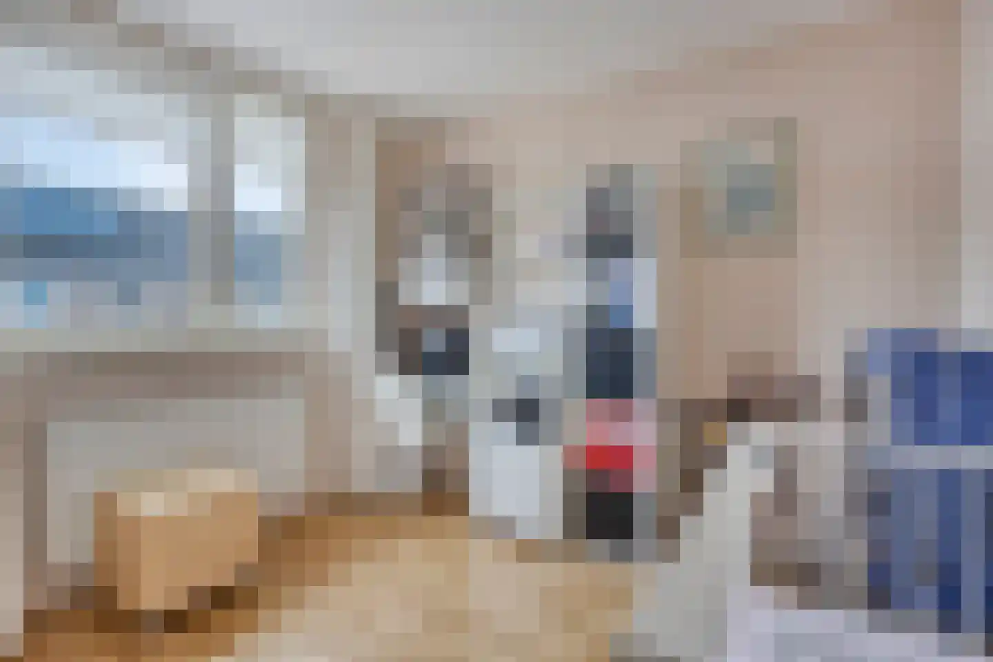 Orgelpad 11 Spijkenisse thumbnail 29