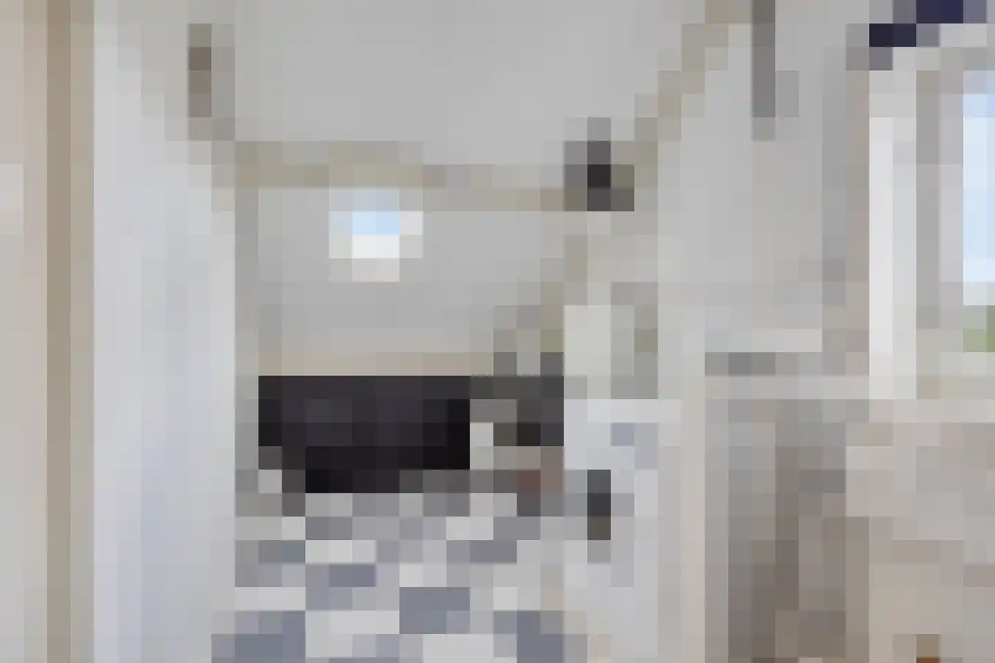 Orgelpad 11 Spijkenisse thumbnail 31