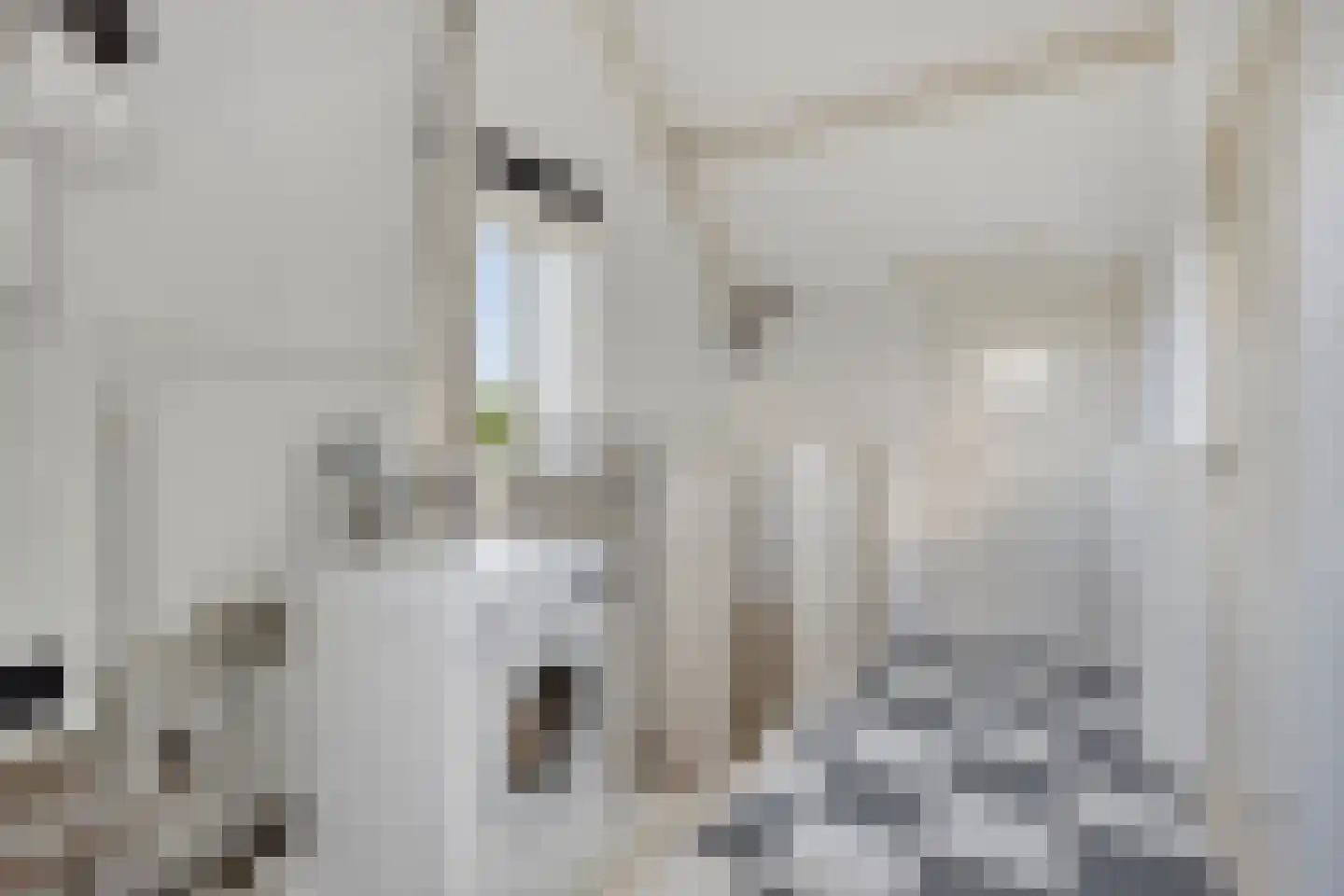 Orgelpad 11 Spijkenisse thumbnail 32