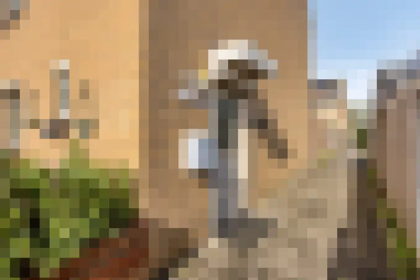 Orgelpad 11 Spijkenisse thumbnail 37