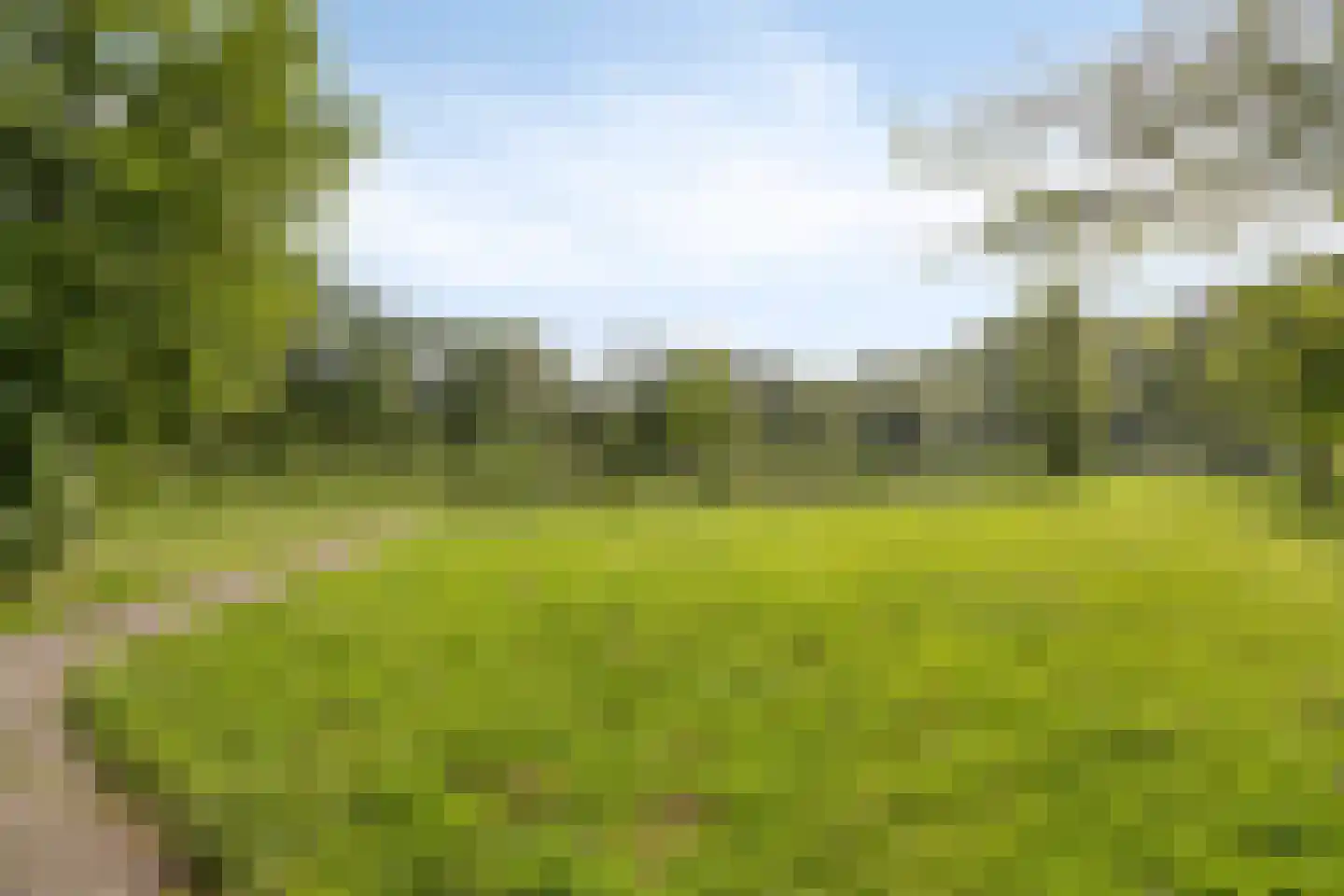 Orgelpad 11 Spijkenisse thumbnail 38