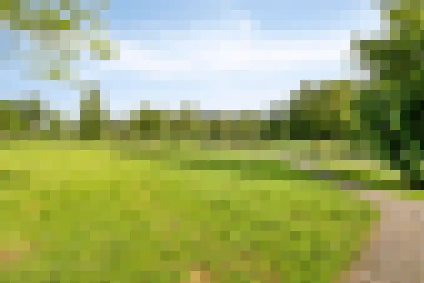 Orgelpad 11 Spijkenisse thumbnail 39