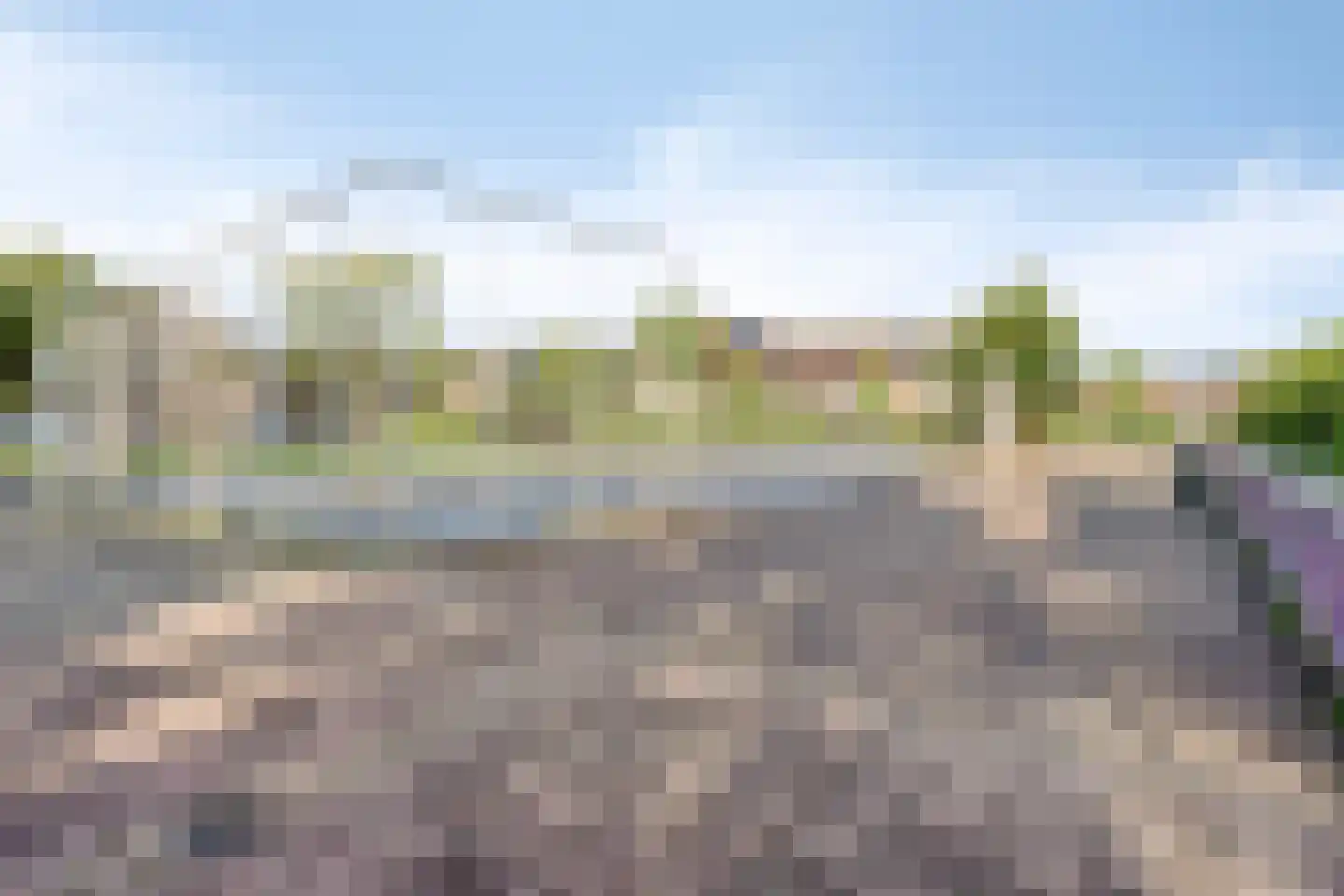 Orgelpad 11 Spijkenisse thumbnail 44